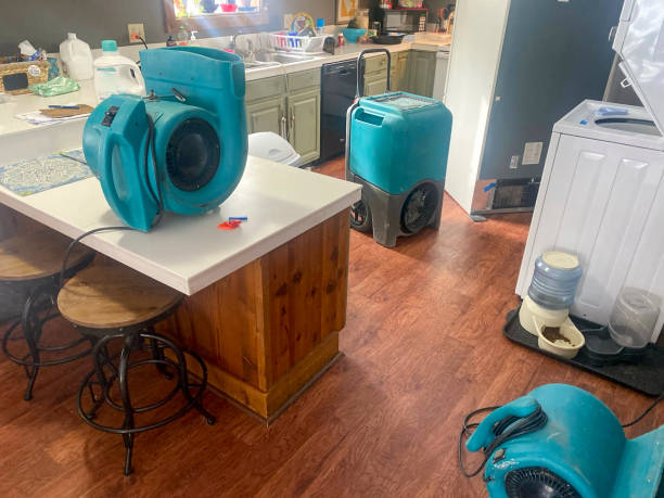 Best Water damage restoration company  in Denton, NC