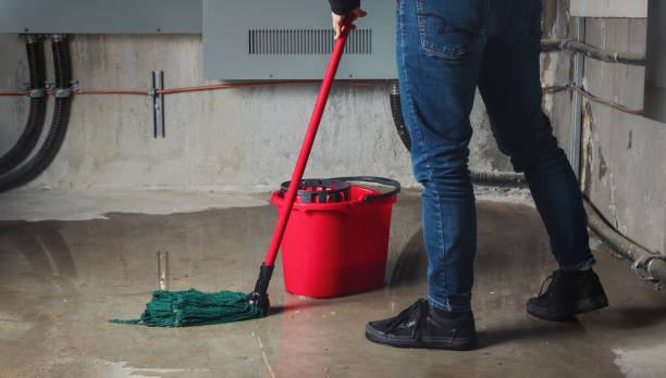 Best Mold removal after water damage  in Denton, NC
