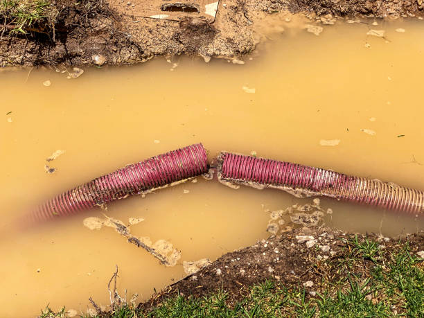 Best Flood damage cleanup  in Denton, NC