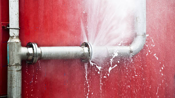 Best Water damage contractors near me  in Denton, NC