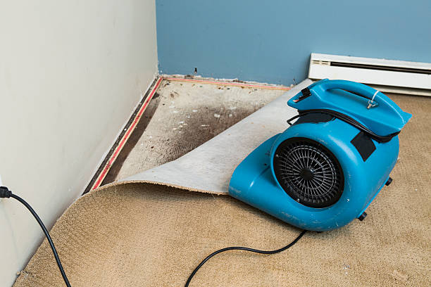 Best 24/7 water damage repair  in Denton, NC